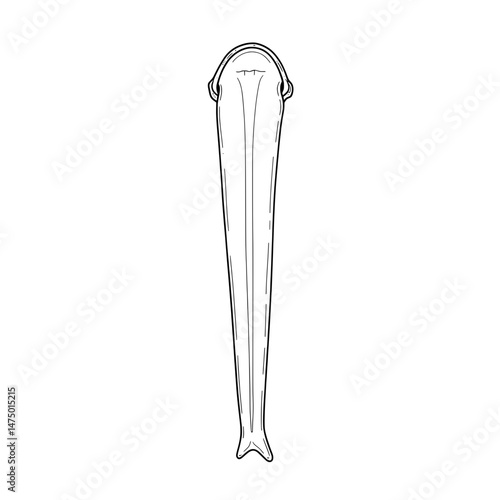 Illustration of upper part of a sleek, tapering object with a rounded, capped top