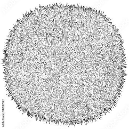 Black and white abstract design showing lines like an animal's quills, or spiky grass