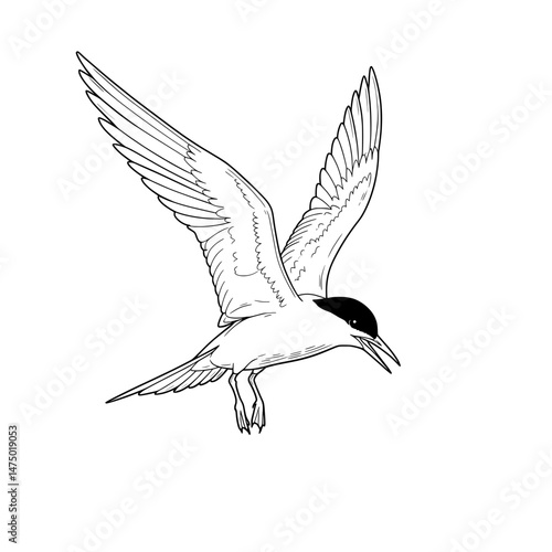 Graceful flight