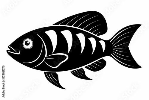 oscar fish sihouette black vector