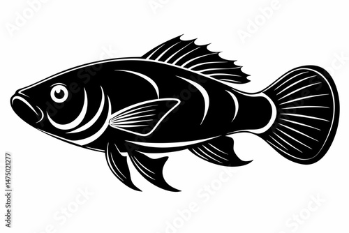 oscar fish sihouette black vector