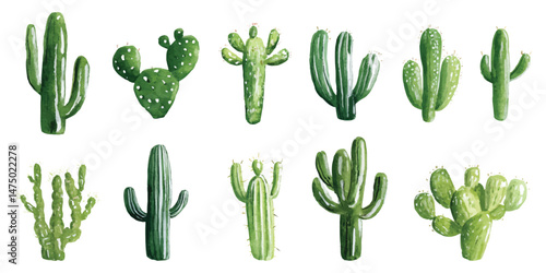 Set watercolor green tropical wild cactus succulents desert flower plants isolated on transparent background