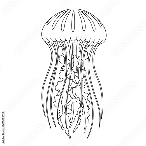 Outlined sea creature