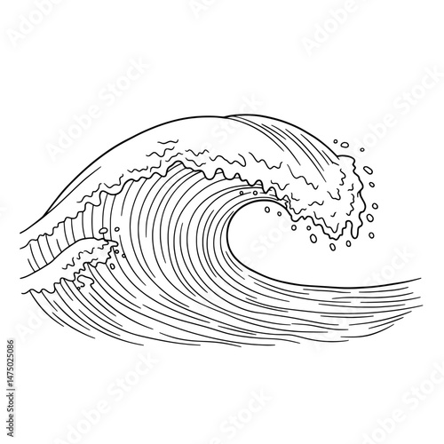 A dynamic sketch of a cresting wave, detailed with lines, on a clean white background