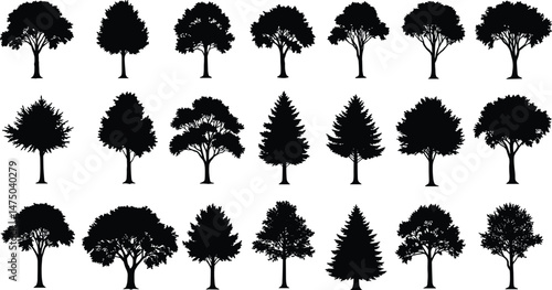 Set of silhouettes various trees on a white background, PNG collection