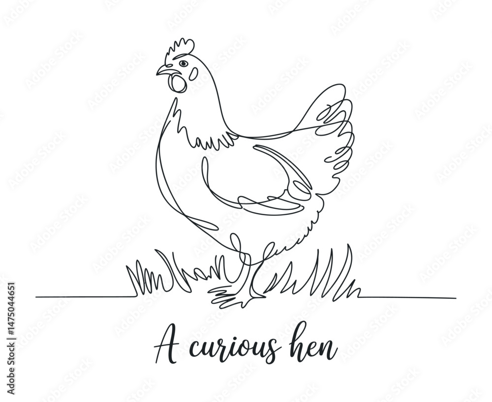 Fototapeta premium Single Line Drawing of a Curious Hen in Grass