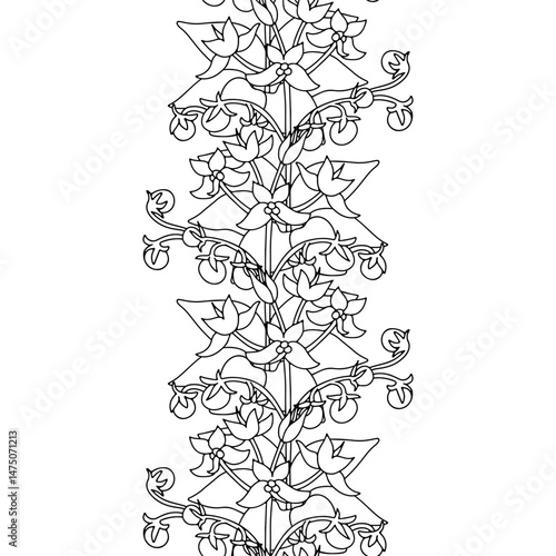 Foto Stripe pattern with black and white line art canary islands flowers Tenerife nightshade