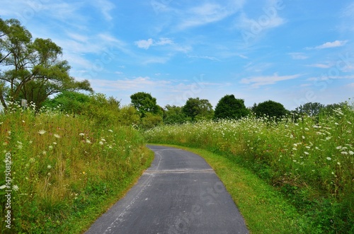 road in the park