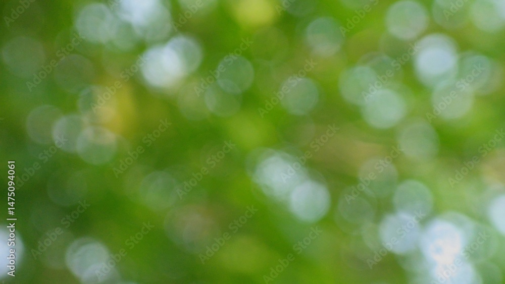 Obraz premium Abstract green blurred background with natural bokeh light effects.