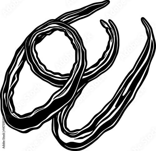 Dried Vanilla Beans Aromatic Dark and Curled