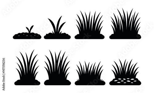 Grass growth silhouette icons set – stages, plant development symbols