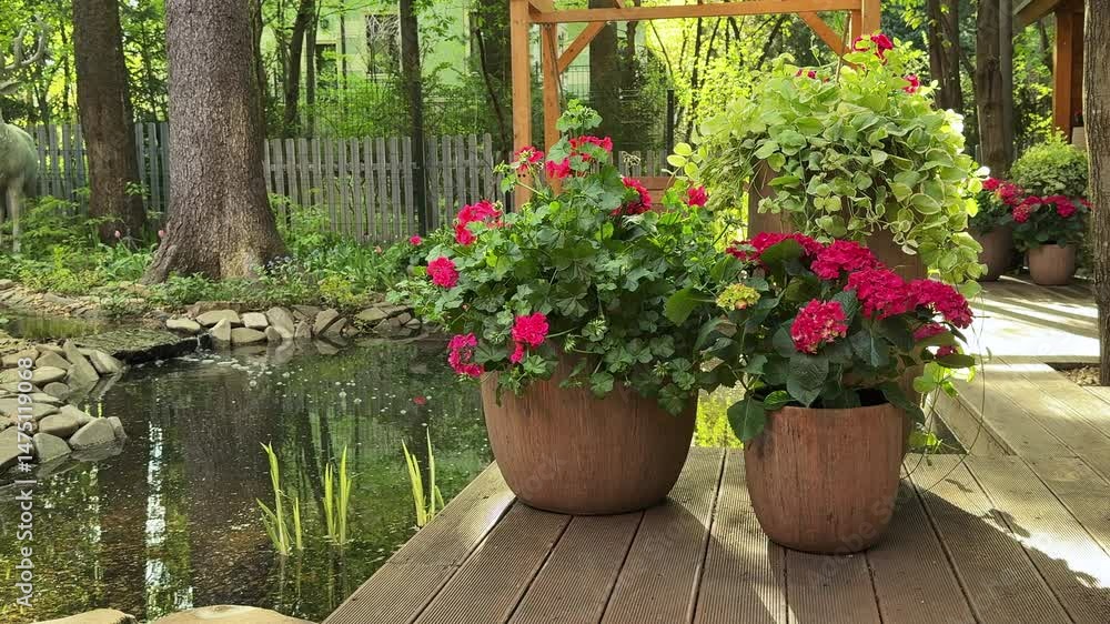 Planters with seasonal summer flowers standing on a wooden-floored summer terrace near a pond Planters with seasonal summer flowers standing on a wooden-floored summer terrace near a pond