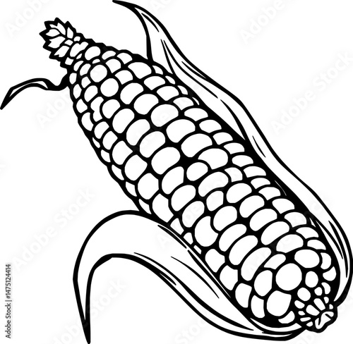 Hand-Drawn Illustration Of An Ear Of Corn In Husk