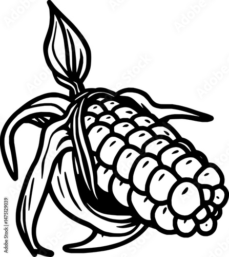 Freshly Harvested Ear Of Sweet Corn Illustration