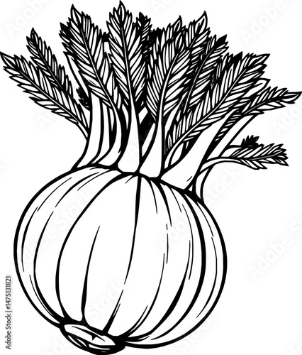 Fresh Fennel Bulb with Vibrant Green Foliage