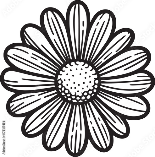 Line drawing of various flowers vector, clipart, transparent, png, element
