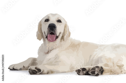 Vector Illustration of a Happy Golden Retriever Lying Down on White Background