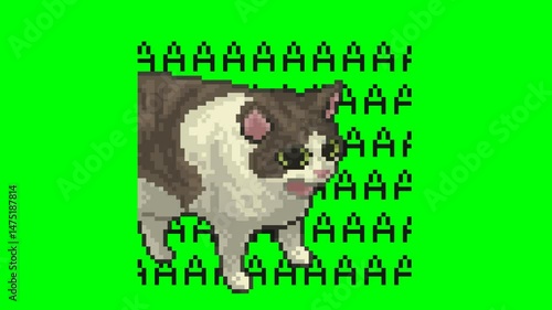 AAA... Cat , pixel art animation meme 
