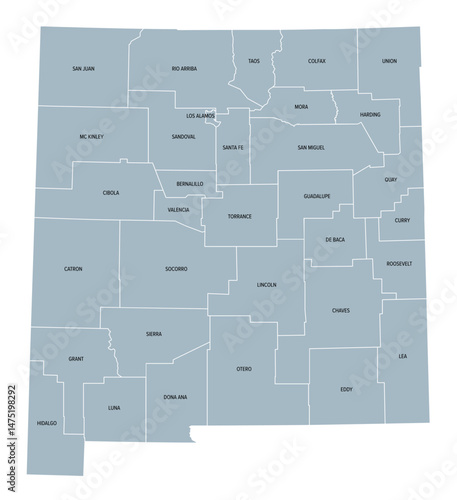 New Mexico counties, gray political map with borders and county names. State in the Southwestern region of the United States, subdivided into 33 counties, nicknamed Land of Enchantment.
