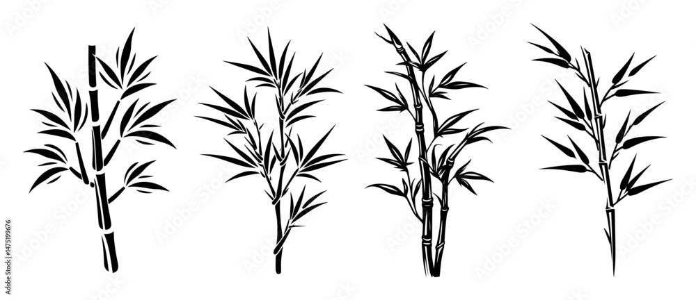 Obraz premium bamboo stalk variations in hand drawn outline vector style