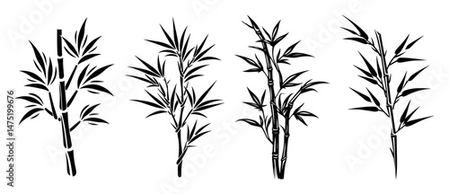 bamboo stalk variations in hand drawn outline vector style