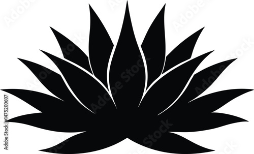 Agave plant silhouette vector, aloe vera silhouette, aloe vera icon