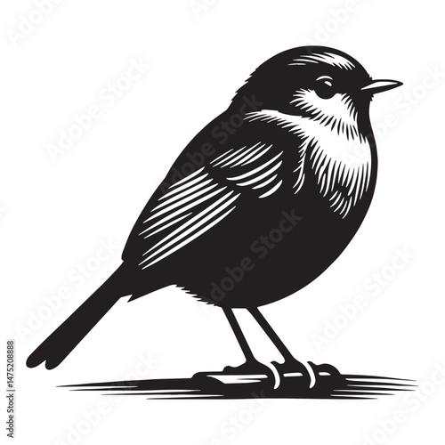 Dawn Song Robin silhouette singing – Robin illustration – Minimalist Robin vector – Bird silhouette

