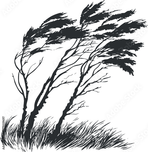 Silhouette of two trees bent by strong wind with tall grass at their base isolated on white background
