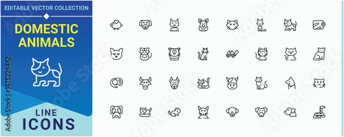 Domestic Animals simple icon set. Related to puppy, animal care, dog, cat. Animal And Pet icon pack. Minimal icons set. Pixel perfect. Editable stroke.