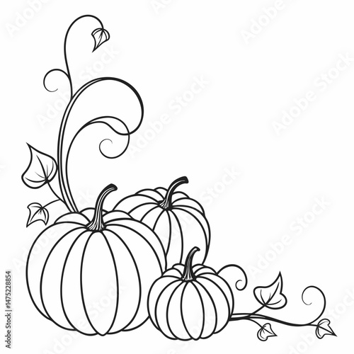 pumpkins line art style. Halloween and thanksgiving elements vector