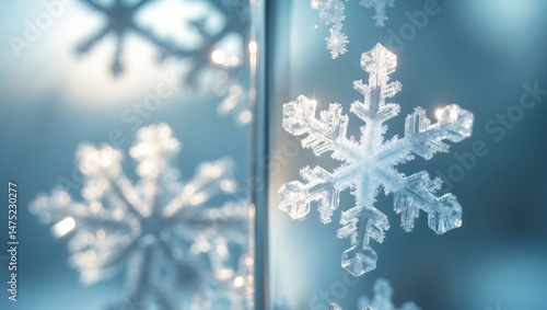A close-up shot showcasing elaborate snowflake crystals growing from a pane's mirrored surface, shining in white and light aqua blue.