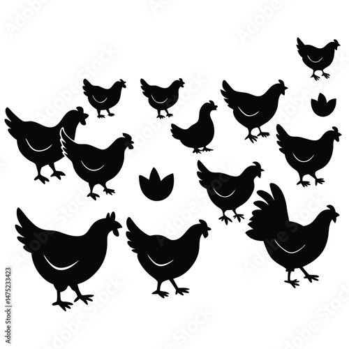 Chickens Roaming Free Range Farm