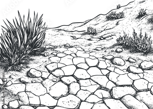 Black and white illustration of a dry desert landscape with cracked ground, rocks, and sparse bushes.