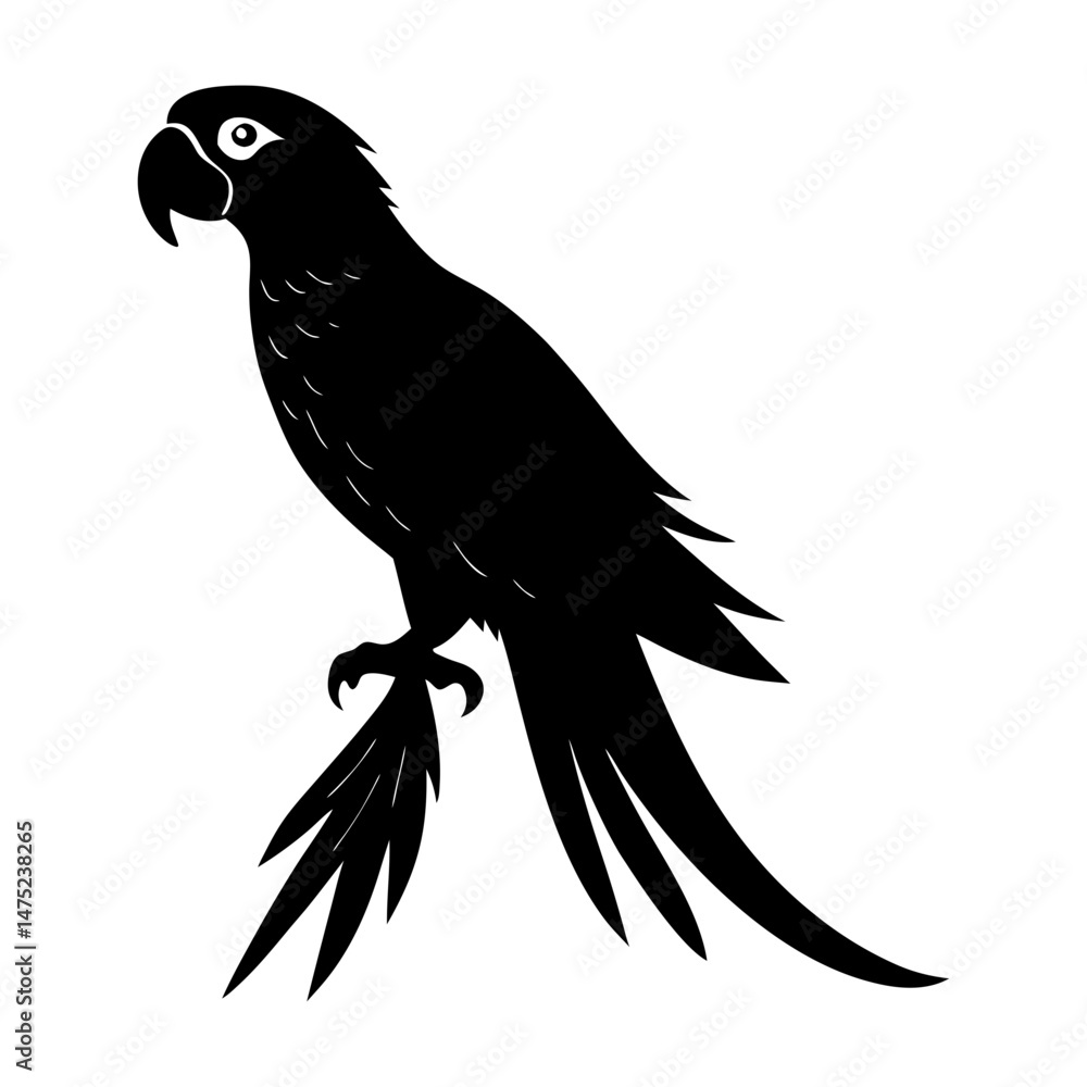 Obraz premium Macaw Silhouette vector