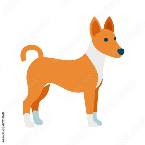 Flat vector illustration of a Basenji dog on black