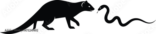 Vector Animal Illustration Mongoose Confronting Snake
