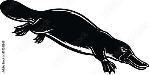 Stunning Platypus Vector Illustration Aquatic Animal Design