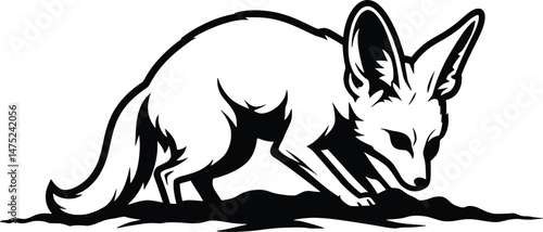 Elegant Fennec Fox Vector Animal Illustration