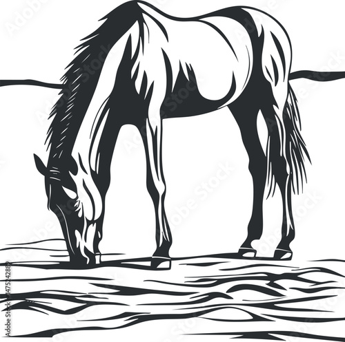 Black and white illustration of a horse grazing outdoors in a natural rural environment.