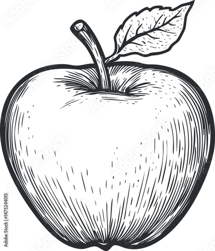 Black and white hand drawn sketch of an apple with a leaf and stem, detailed illustration
