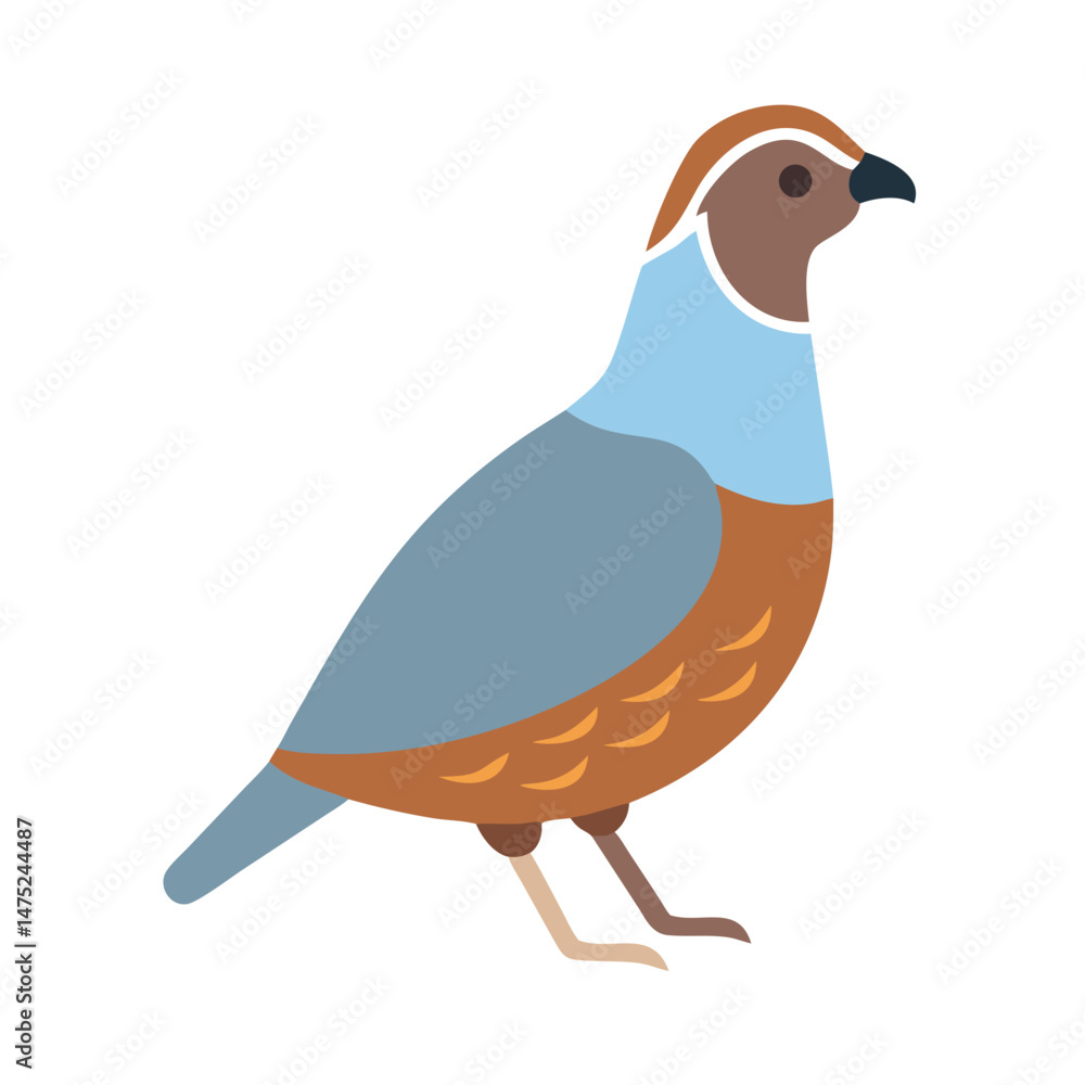 Fototapeta premium Stylized Partridge Bird Illustration on Black Background