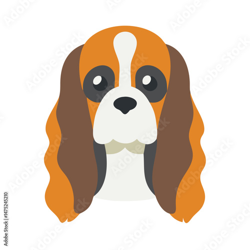 Flat vector illustration of Cavalier King Charles Spaniel breed