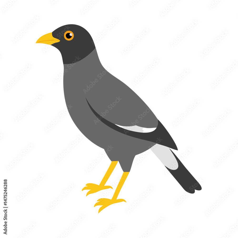 Fototapeta premium Minimalist vector illustration of a grey starling bird