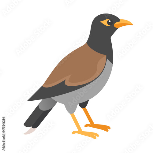 Isolated cartoon illustration of a Myna bird on black