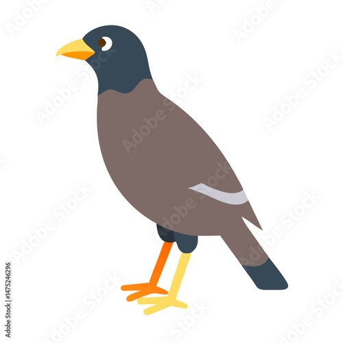 Isolated Myna bird graphic with clean lines on black
