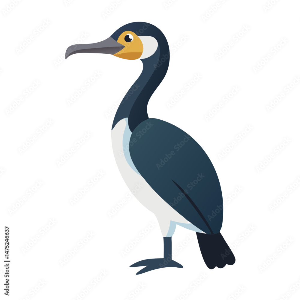 Obraz premium Elegant cormorant illustration standing against solid black background space