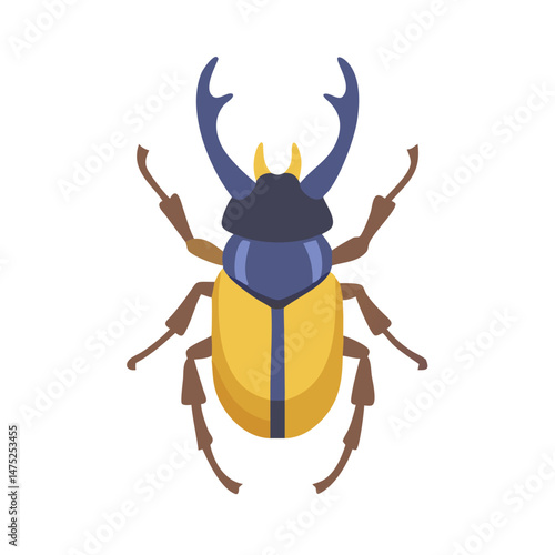 Illustration of a scarab beetle on a black background