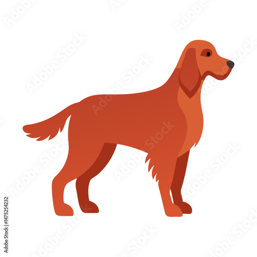 Red Setter dog illustration on black background, side view