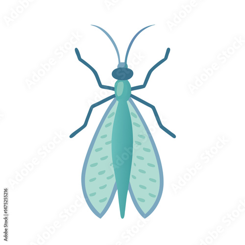Flat stylized mayfly illustration isolated on black background graphic