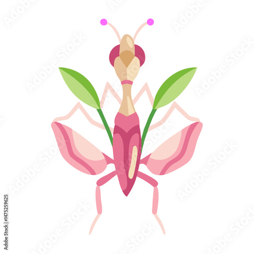 Flat design orchid mantis illustration against a black background